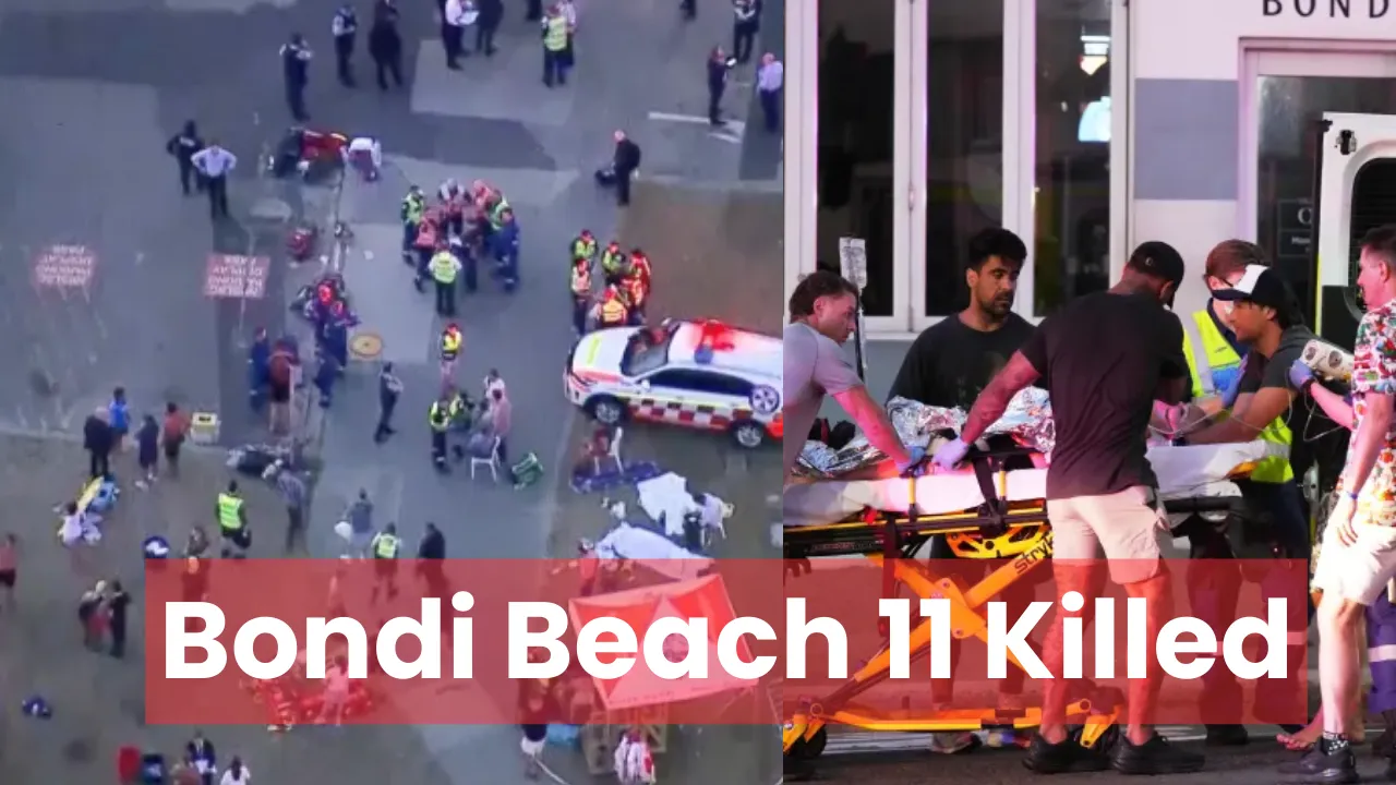 bondi beach, australia shooting, bondi beach shooters, australia, bondi, sydney shooting, bondi beach australia, sydney australia, hanukkah, bondi beach active shooter, sydney, where is bondi beach, what happened in australia today, australia gun laws, australia news, shooting in australia beach, bondi shooting now, shooting australia, australia mass shooting, mass shooting, what happened in australia, mass shooting australia, bondi australia, sydney bondi beach, bondi beach news, shooting in sydney, shooting bondi beach australia, australia attack, are guns banned in australia, bondi beach hero, sydney australia news, shooting at bondi beach australia, what happened in bondi beach australia, australian gun laws, australia shooting bondi beach, gun laws in australia, where is bondi beach in australia, antisemitism, sydney news, chabad, mass shooting in australia, arsen ostrovsky, anthony albanese, bondi beach shootings, sydney shooting bondi beach, bondi beach shooting suspect, rabbi eli schlanger, jerusalem post,